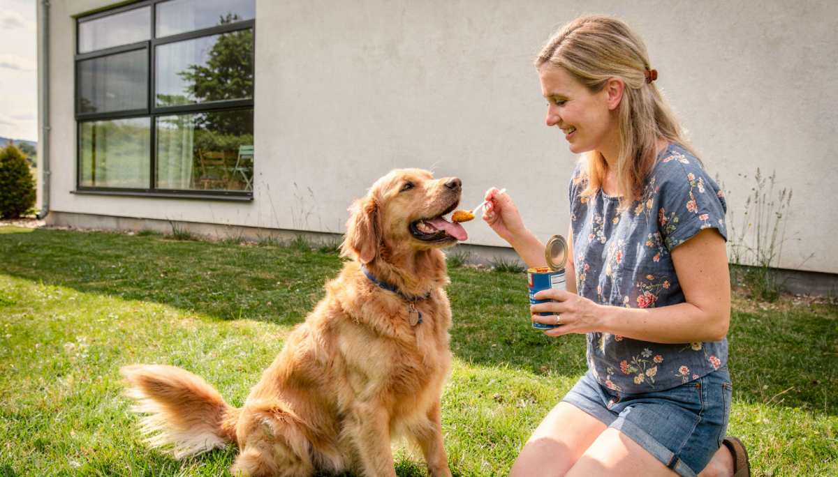 Is Pumpkin a Probiotic for Dogs? Gut Health Guide