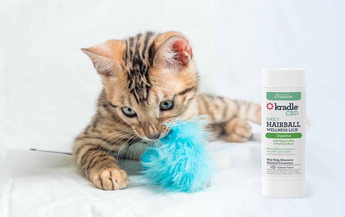 CBD Dosage for Cats: A Complete Guide for Pet Owners