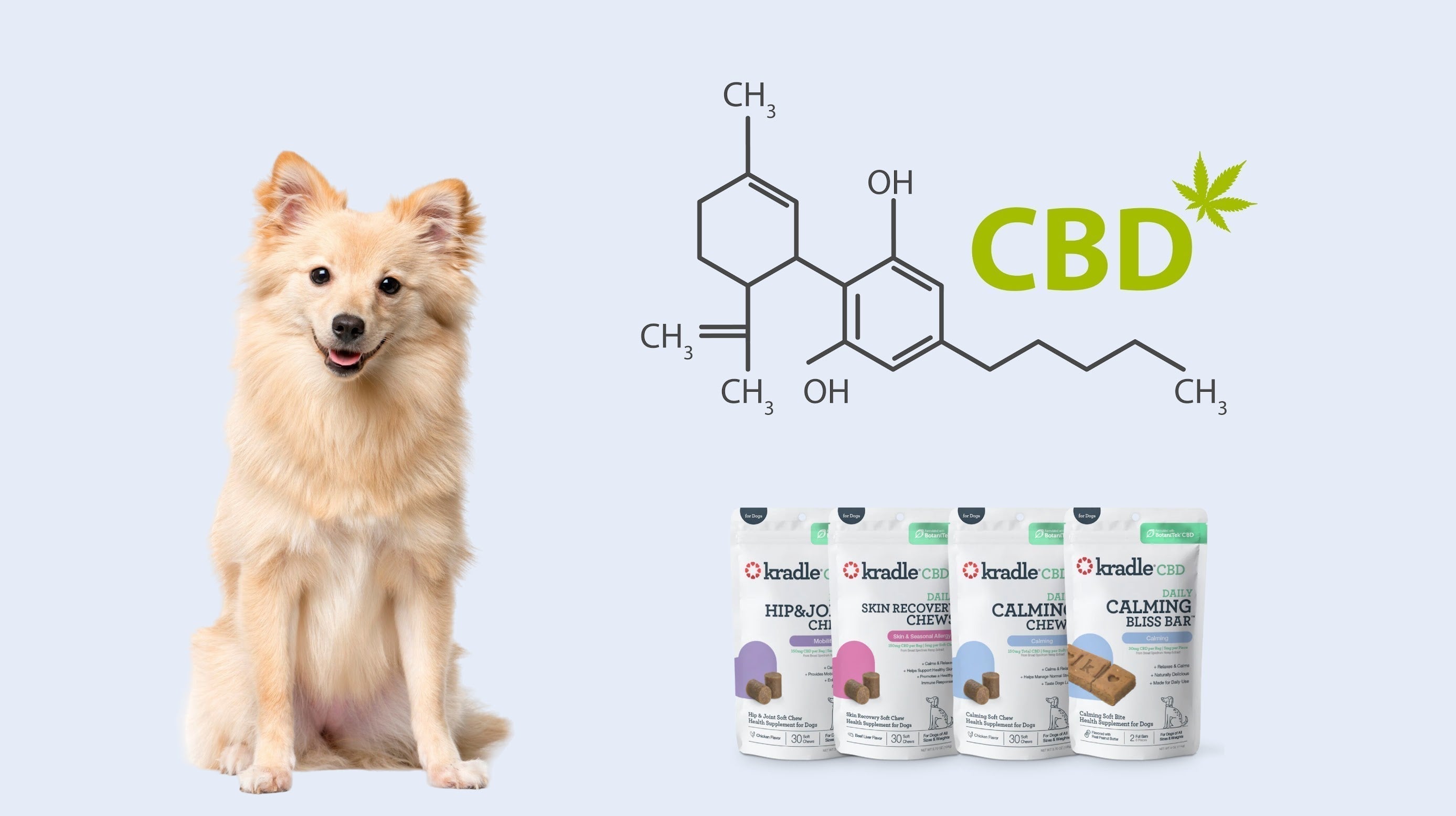 Can Dogs Have CBD? Supporting Wellness Naturally