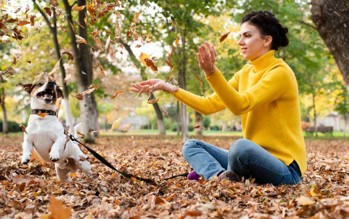 How to Calm Down a Hyper Dog: Proven Strategies for Peace and Quiet