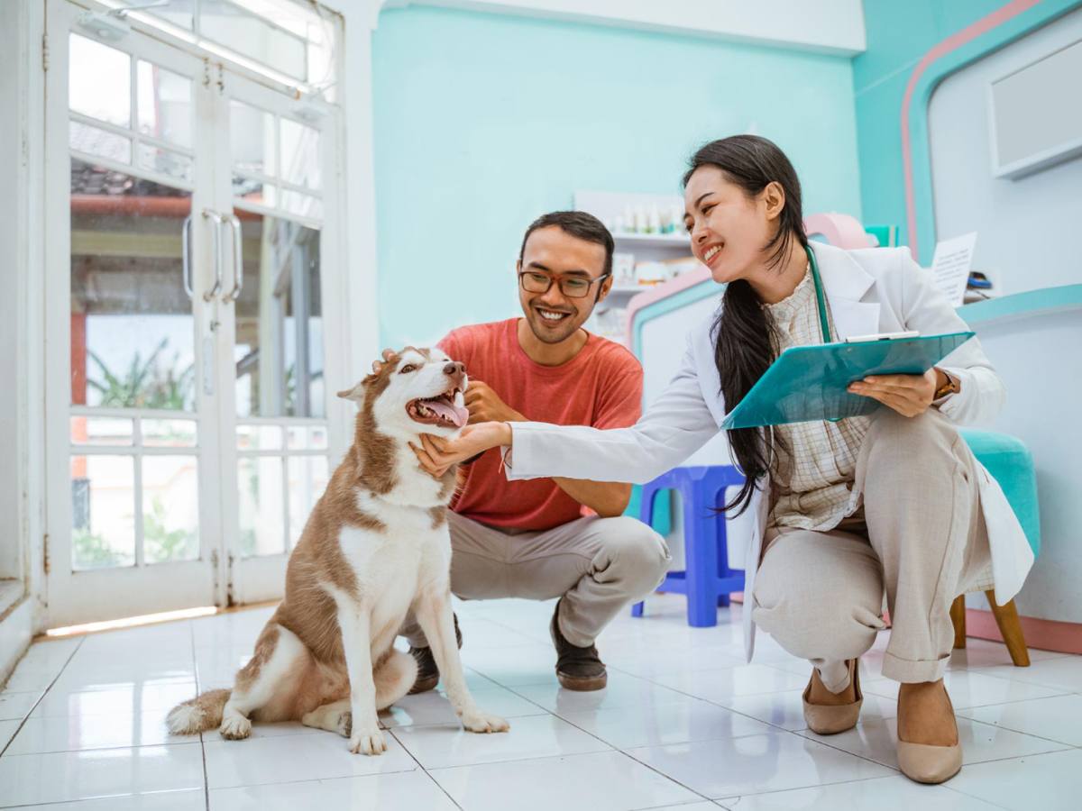 Everything a Pet Parent Needs to Know About Dog Seasonal Allergies