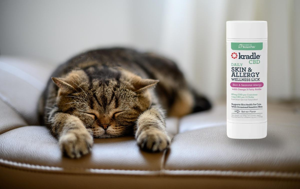 How Does CBD Help With Cat Allergies