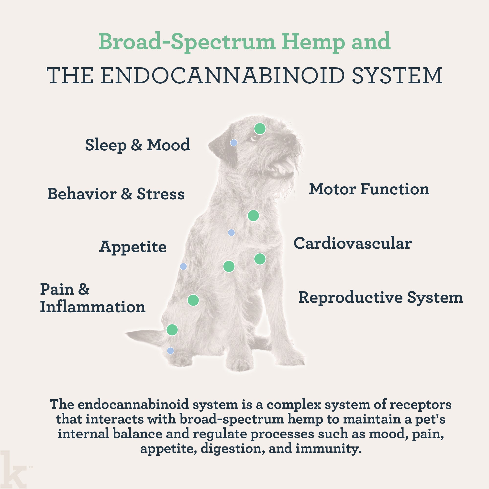 CBD Calming Chews For Dogs