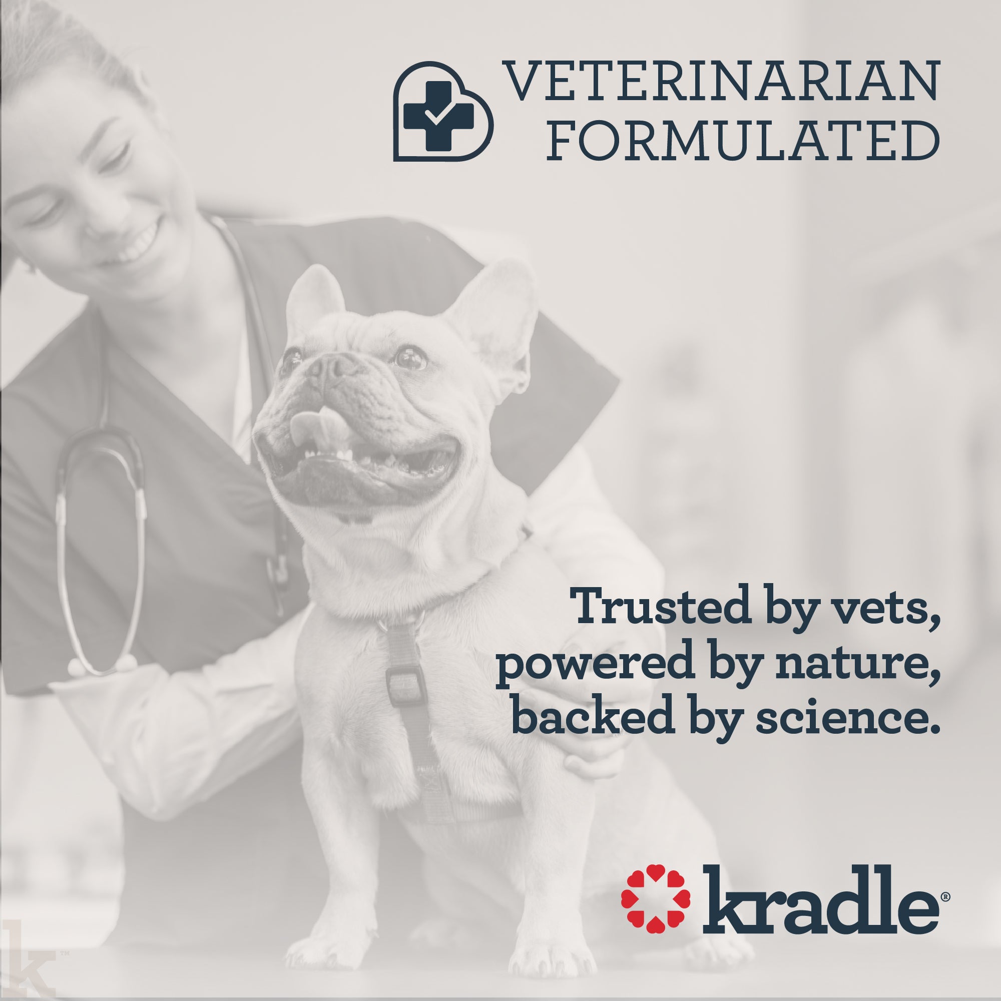 Kradle Max Full Spectrum Calming Tincture