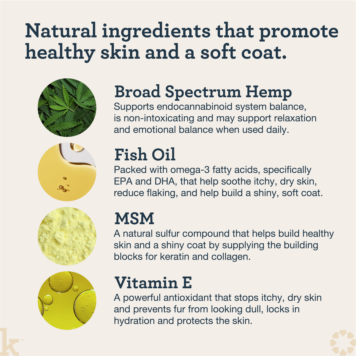 CBD Cat Skin & Allergy Wellness Lick