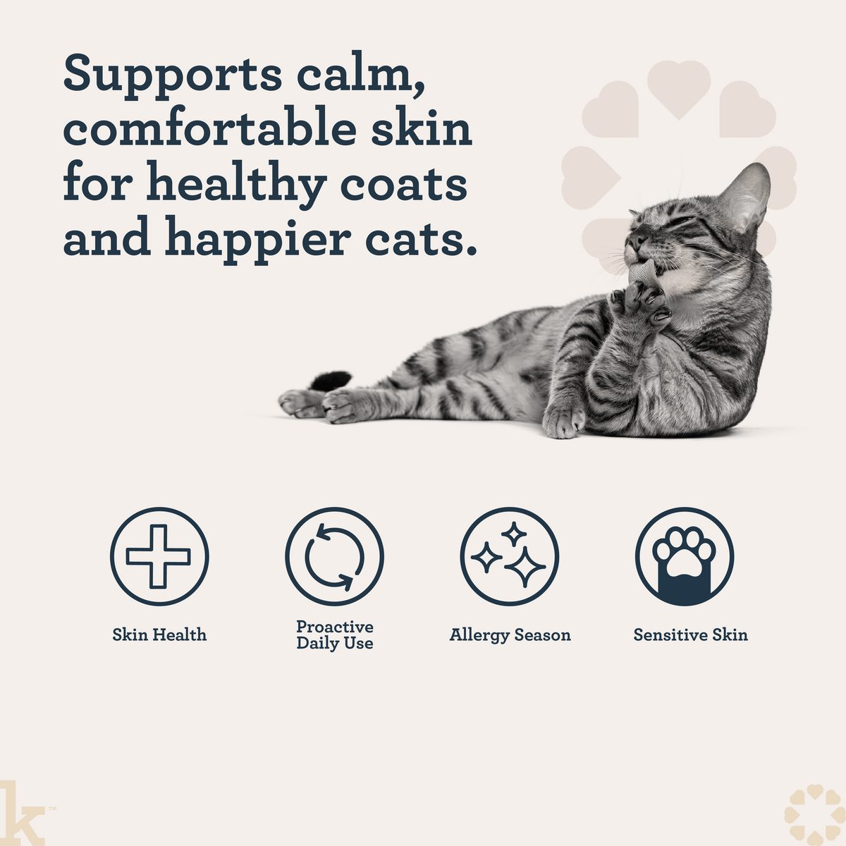 CBD Cat Skin & Allergy Wellness Lick