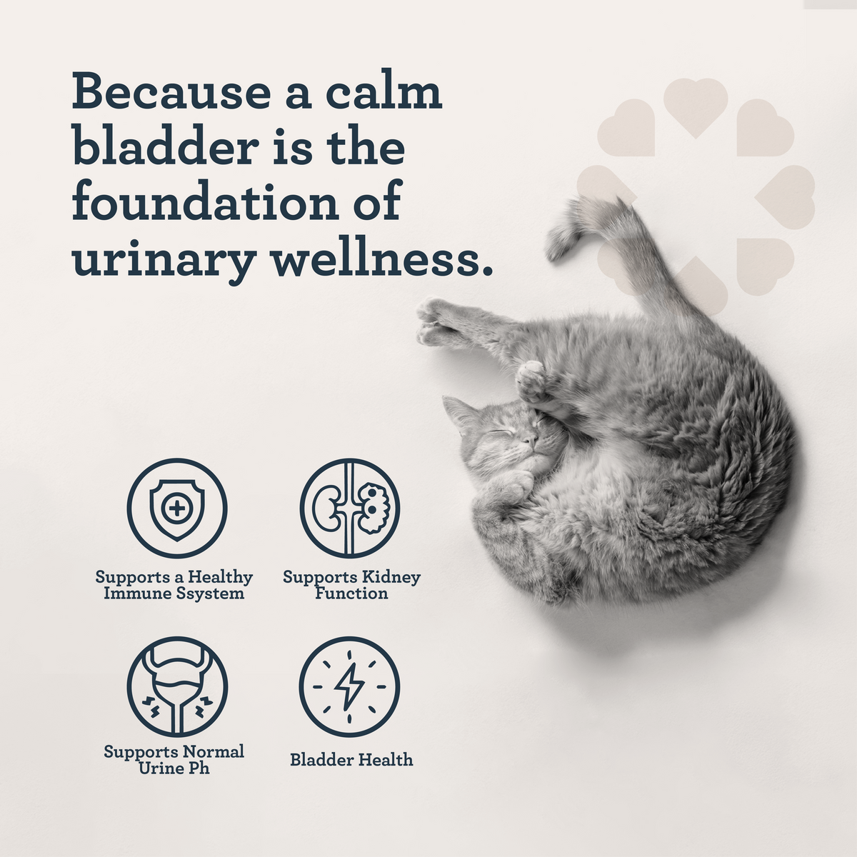 CBD Cat Urinary Wellness Lick