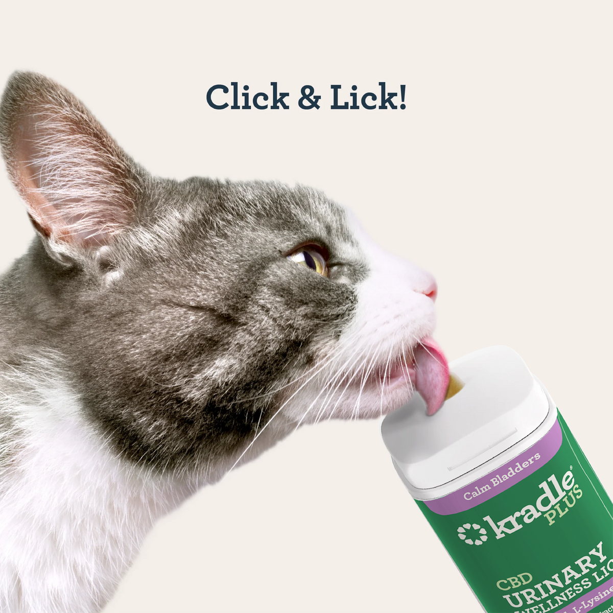 CBD Cat Urinary Wellness Lick