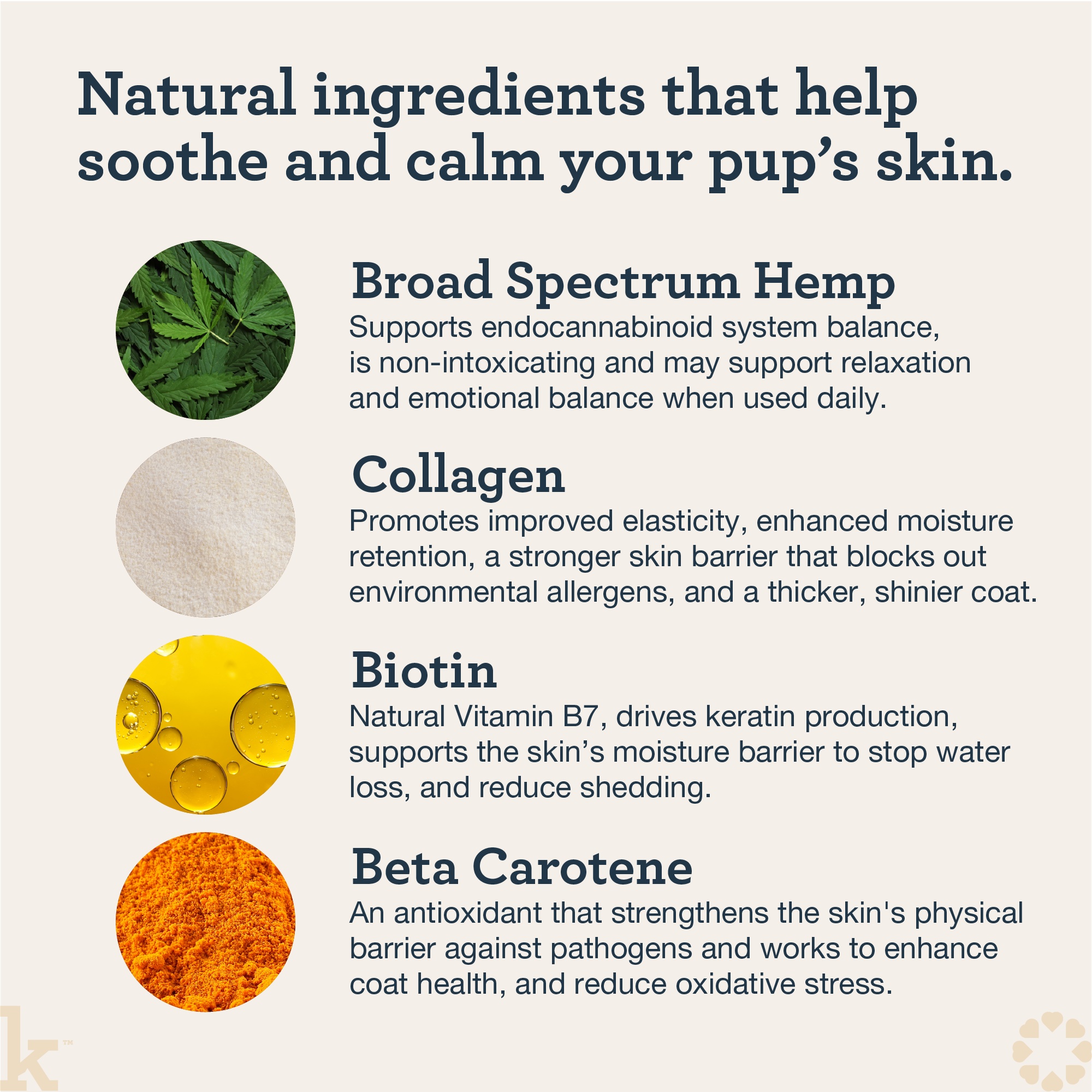 CBD Skin Recovery Chews