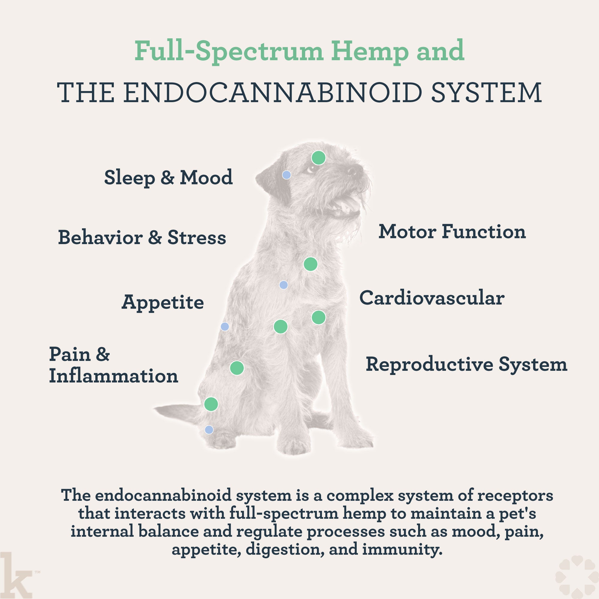 Kradle Max Full Spectrum Calming Tincture for Dogs