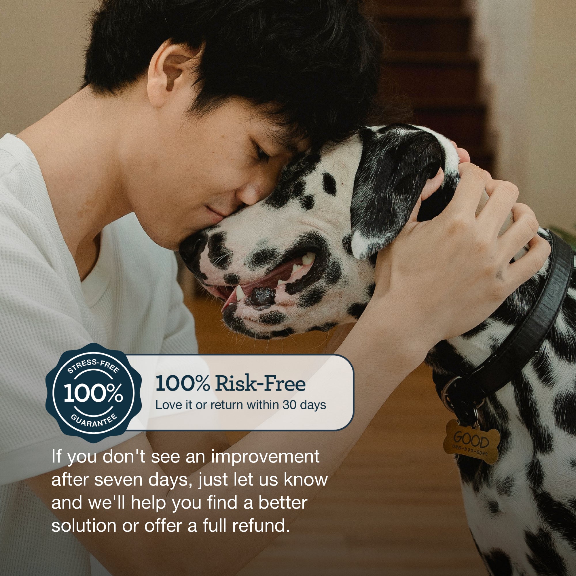 CBD Calming Chews For Dogs