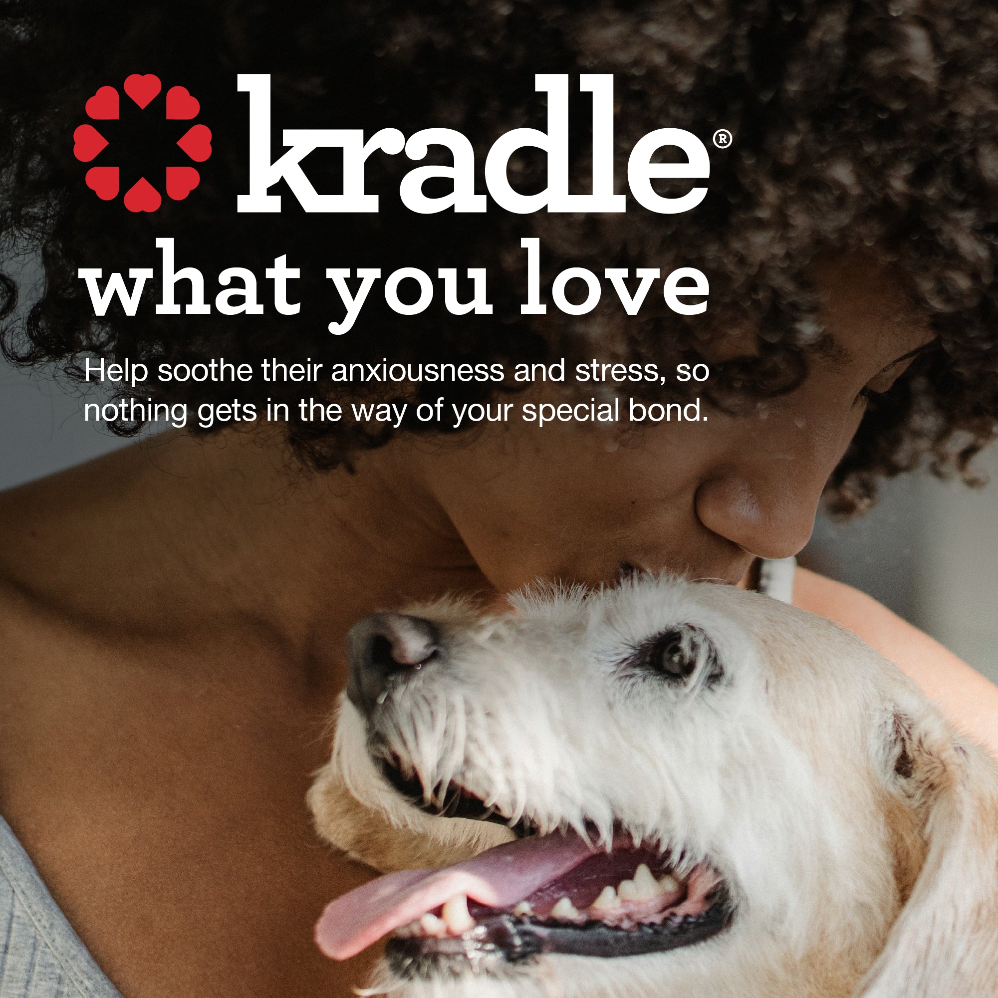 Kradle Max Full Spectrum Calming Tincture for Dogs