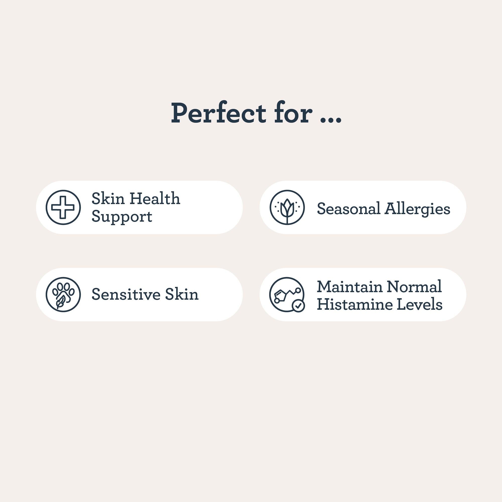 CBD Skin Recovery Chews