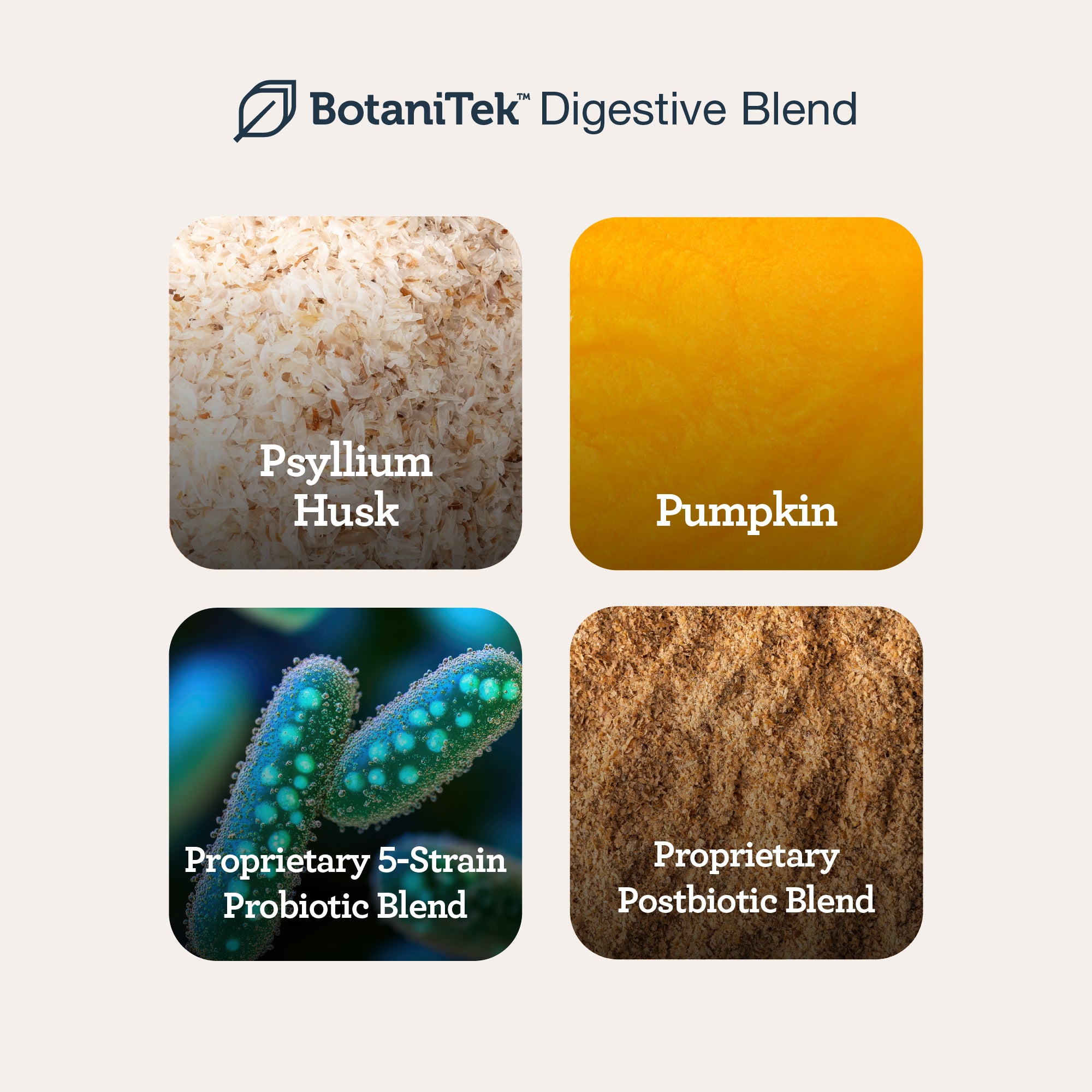 CBD Pre+ Post+ Probiotic Chews