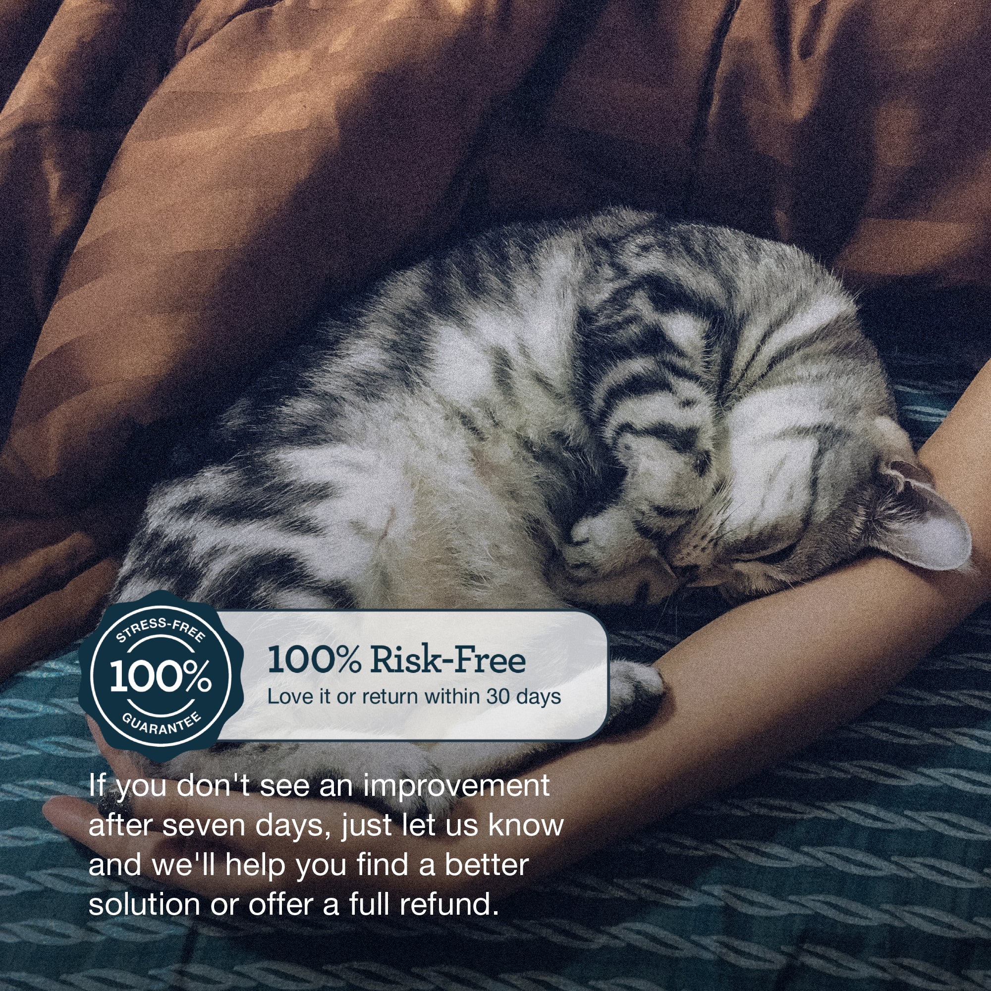 Cat sleeping on a person's arm with a promotional text overlay