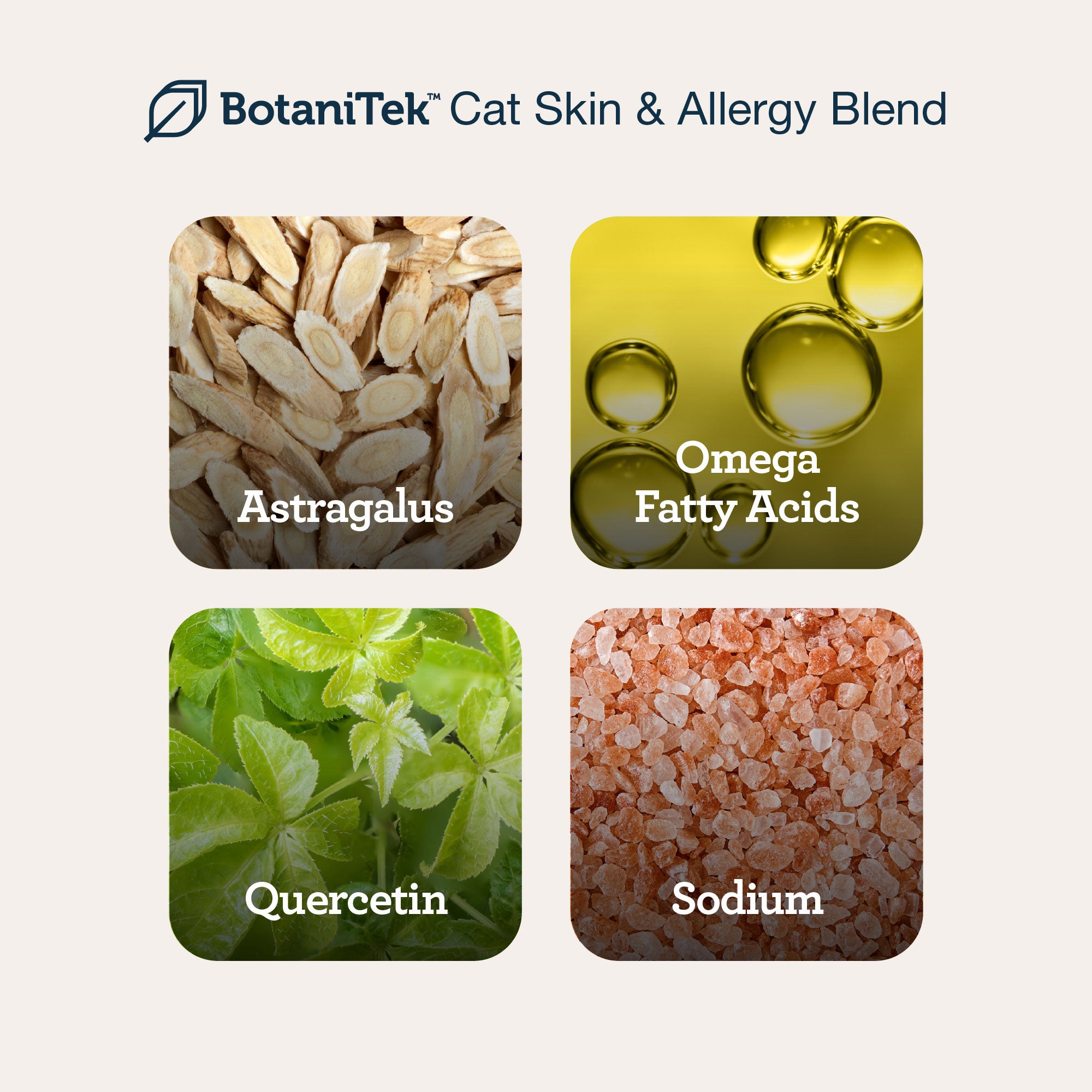 CBD Cat Skin & Allergy Wellness Lick