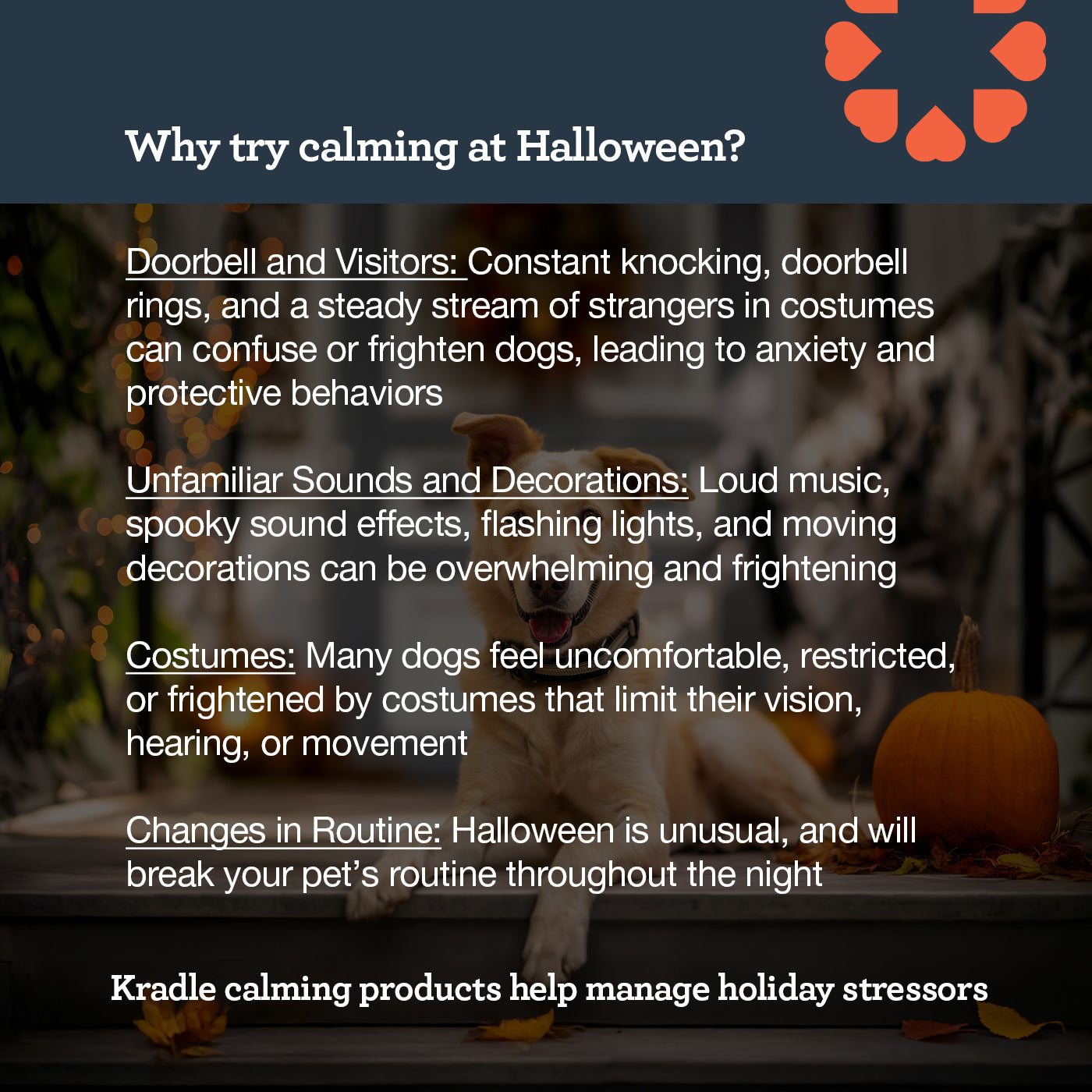 Trick or Treat Calming Bundle
