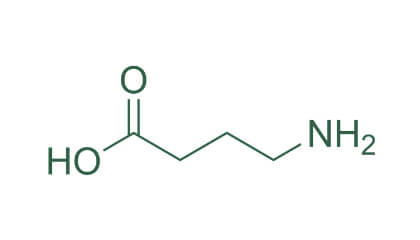 GABA <span>(Gamma-Aminobutyric Acid)</span>