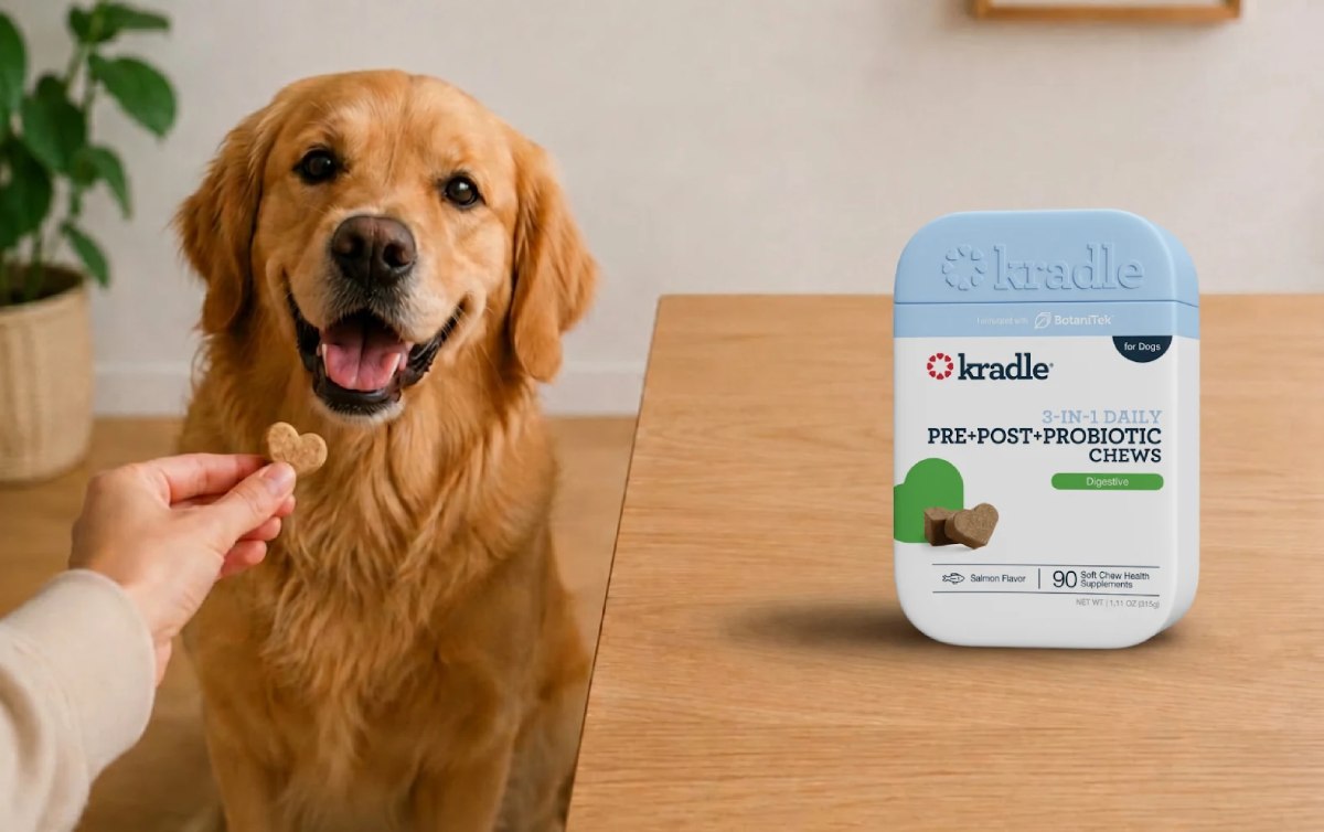 Probiotics for Dogs