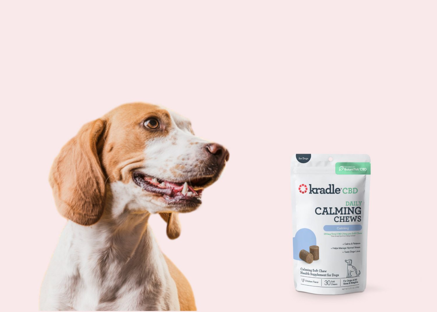 How Long Does CBD Last in a Dog's System