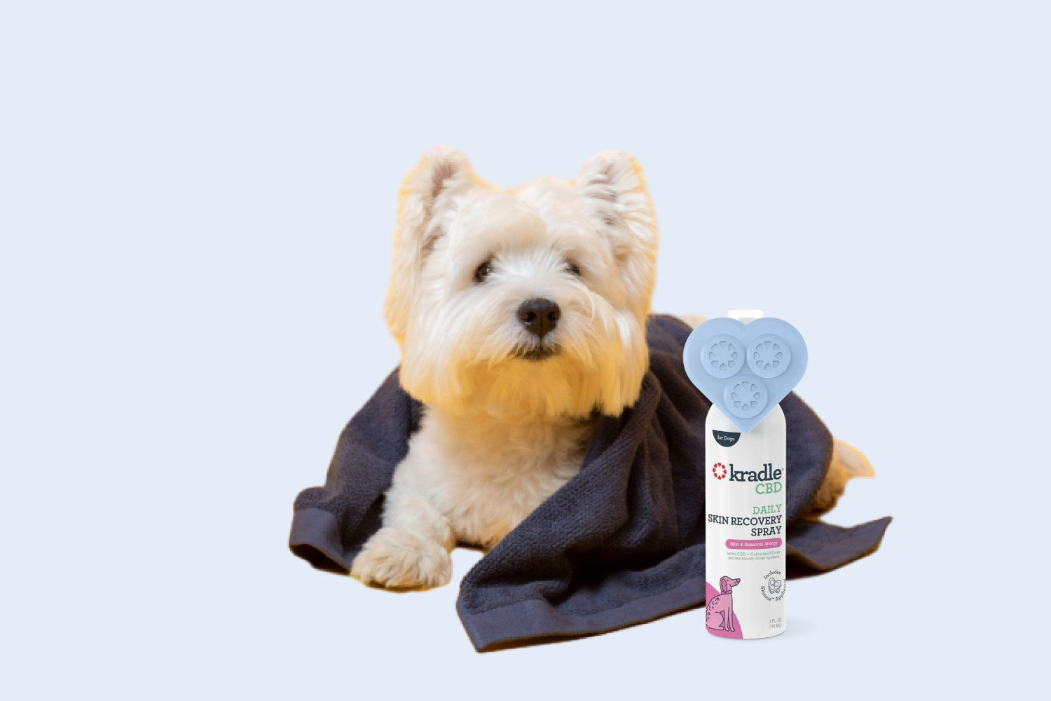 Top 10 Benefits of CBD for Dogs