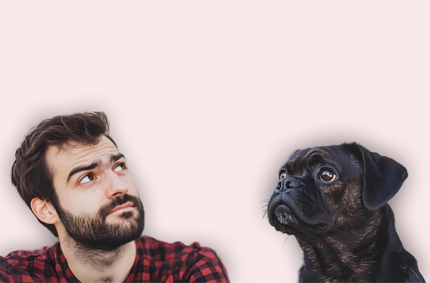 CBD for Pets vs Human CBD: Key Differences Every Pet Owner Should Know