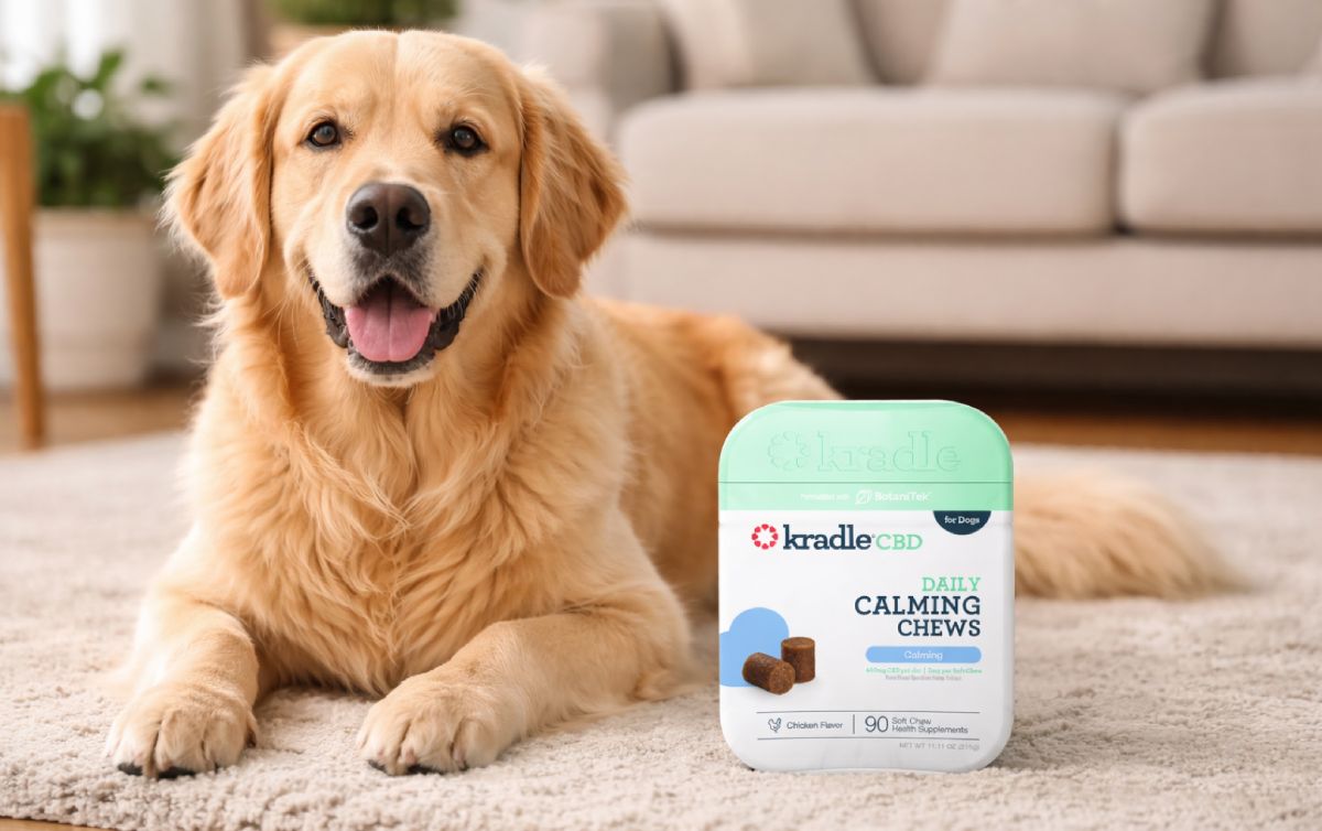 CBD Dosage for Dogs:A Complete Guide with Chart, Safety & Tips