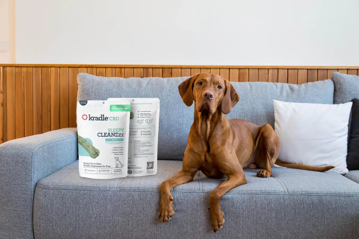 Are Dental Chews Good for Dogs?