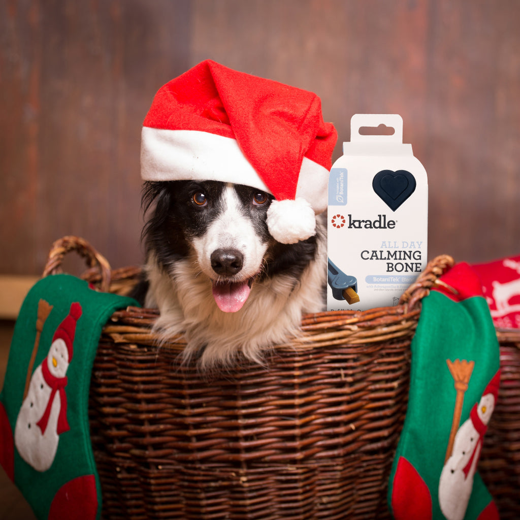 The Gift of Calm: Kradle's Guide to Holiday Dog Gift Ideas