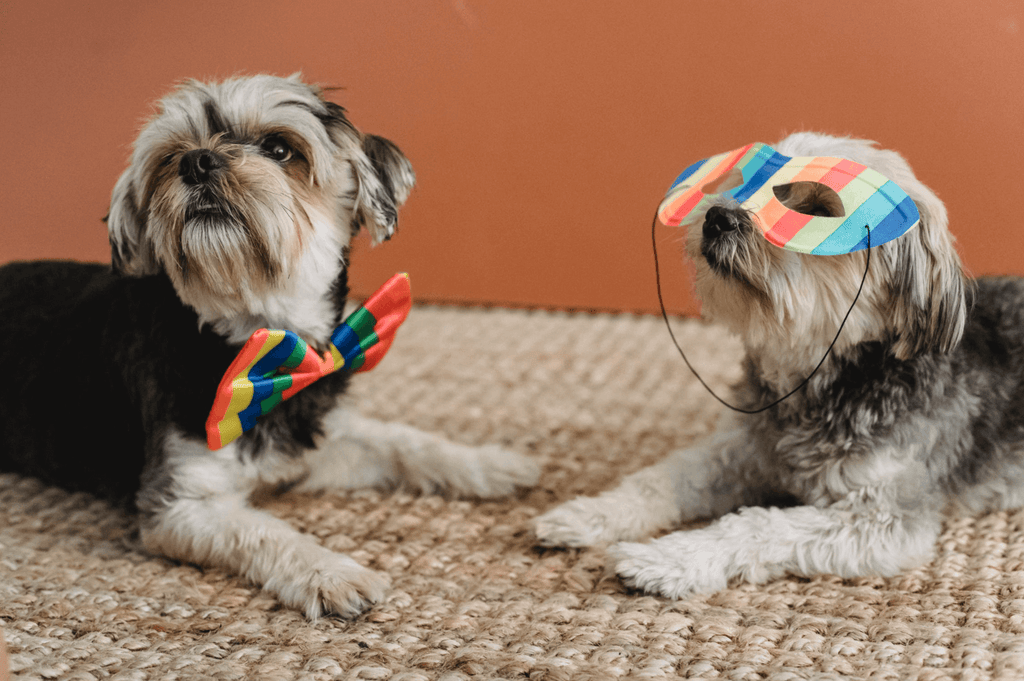 Puparazzi Ready: Tips for Celebrating National Dress Up Your Pet Day