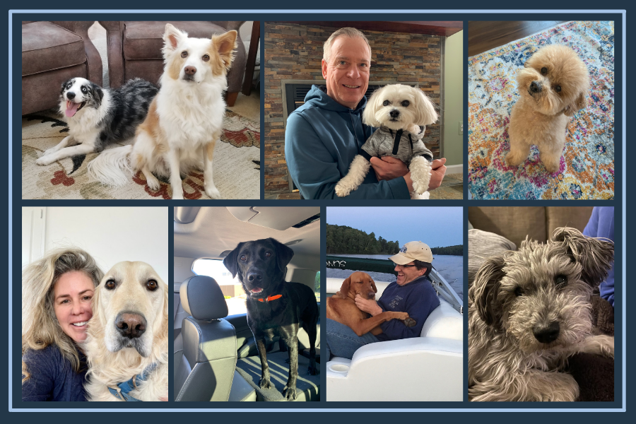 Meet the Kradle® Dogs in Honor of National Love Your Pet Day