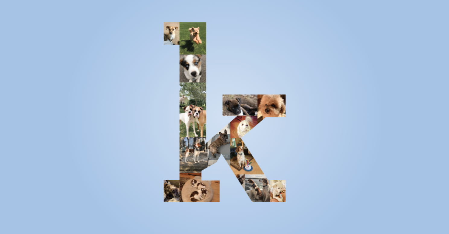 Kradle™ Celebrates World Photo Day with Photo Wall of Kradle Team’s Dogs