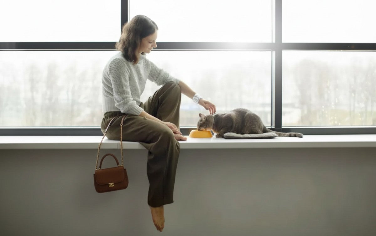 How Long Can Cats Be Left Alone Safely? A Comprehensive Guide