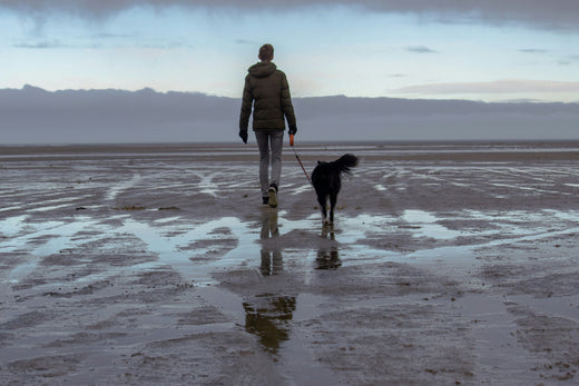 Dog owner walking with dog on a beach