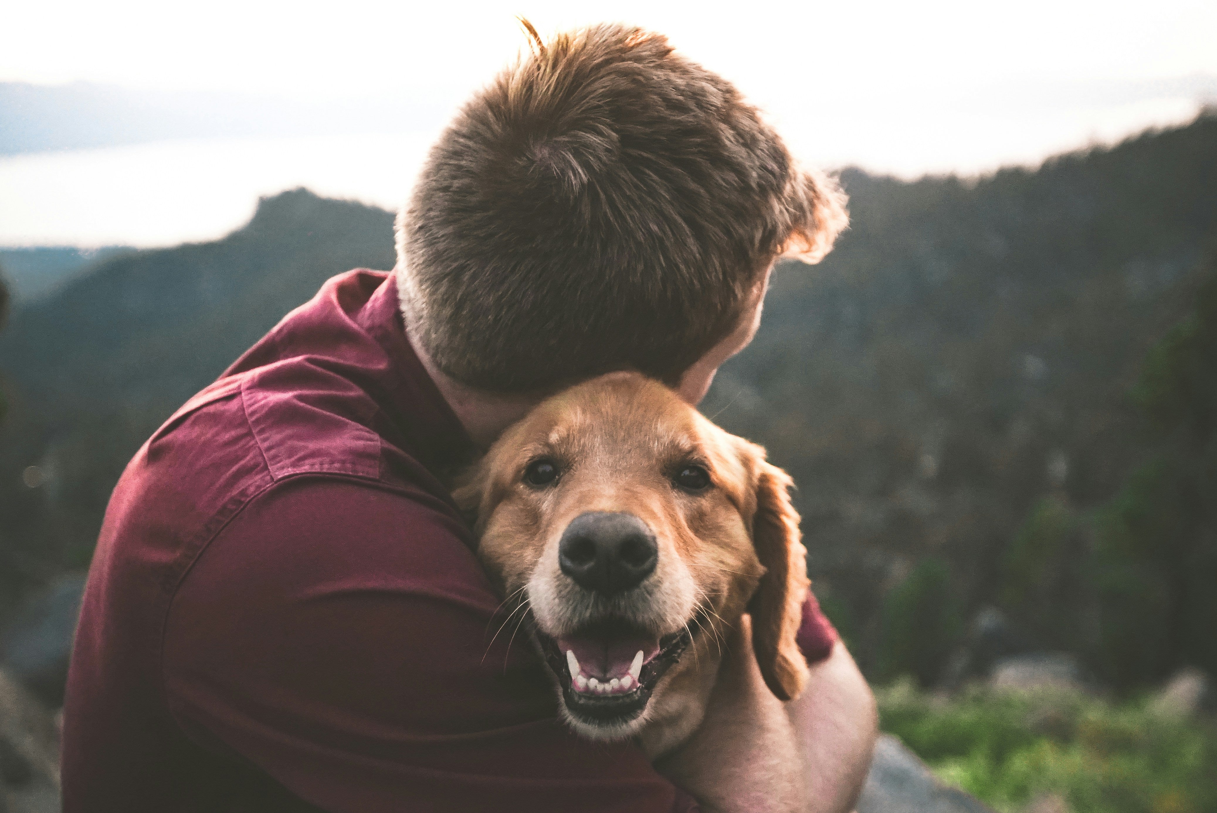 Owner with dog