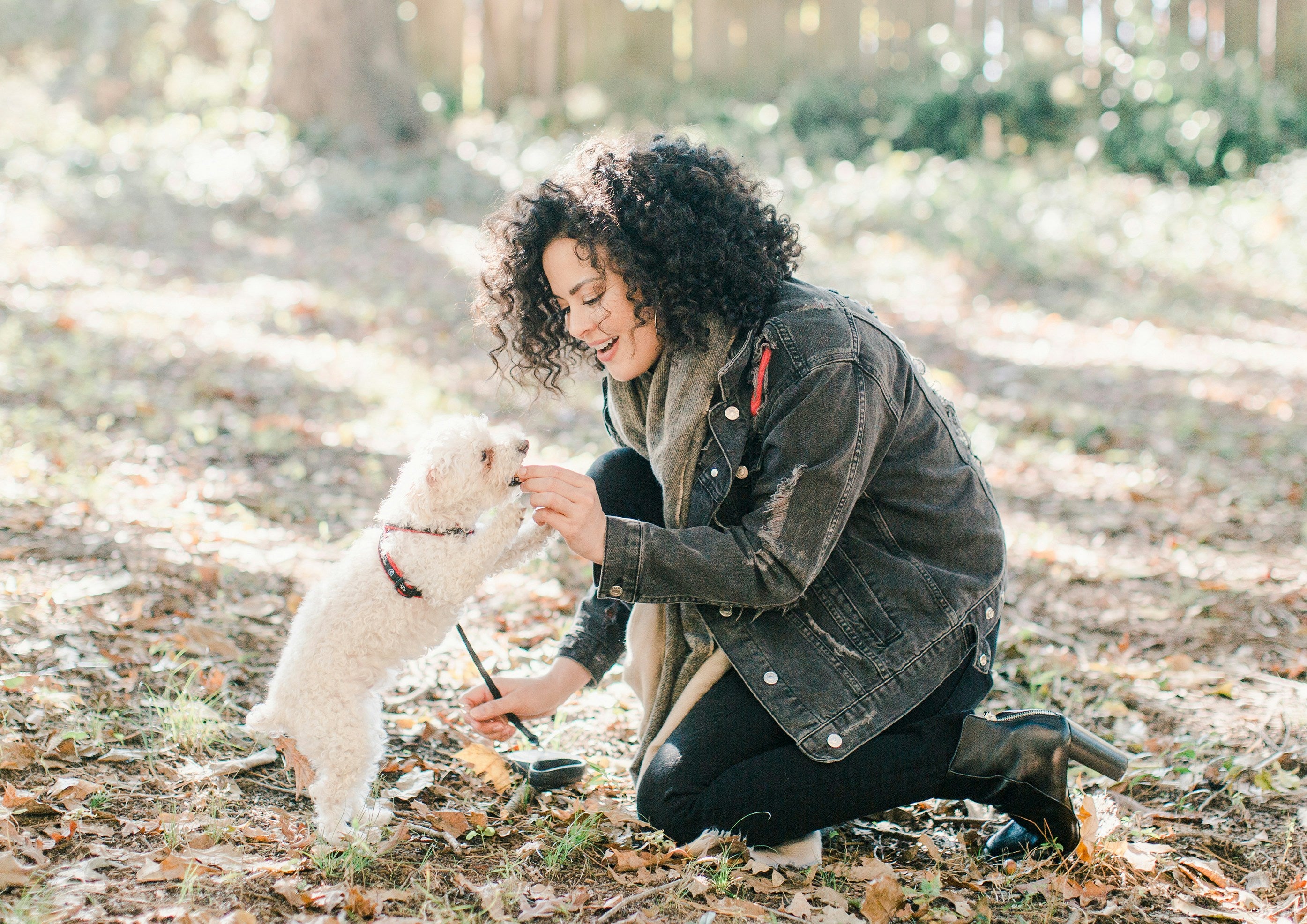 Dog with owner in the fall.