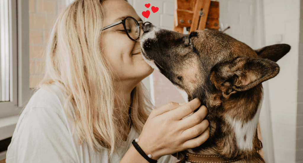 14 Reasons Why Your Dog Is The Best Palentine’s Day Date
