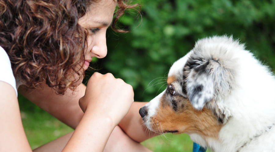 What Are the Mental Health Benefits of Owning a Dog?