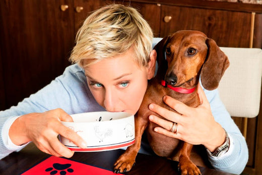 Kradle Partners with Ellen & Prosper Brands for Dogs