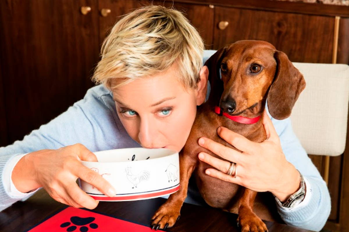 Kradle® Calming for Dogs Announces Partnership with Ellen DeGeneres, Prosper Brands