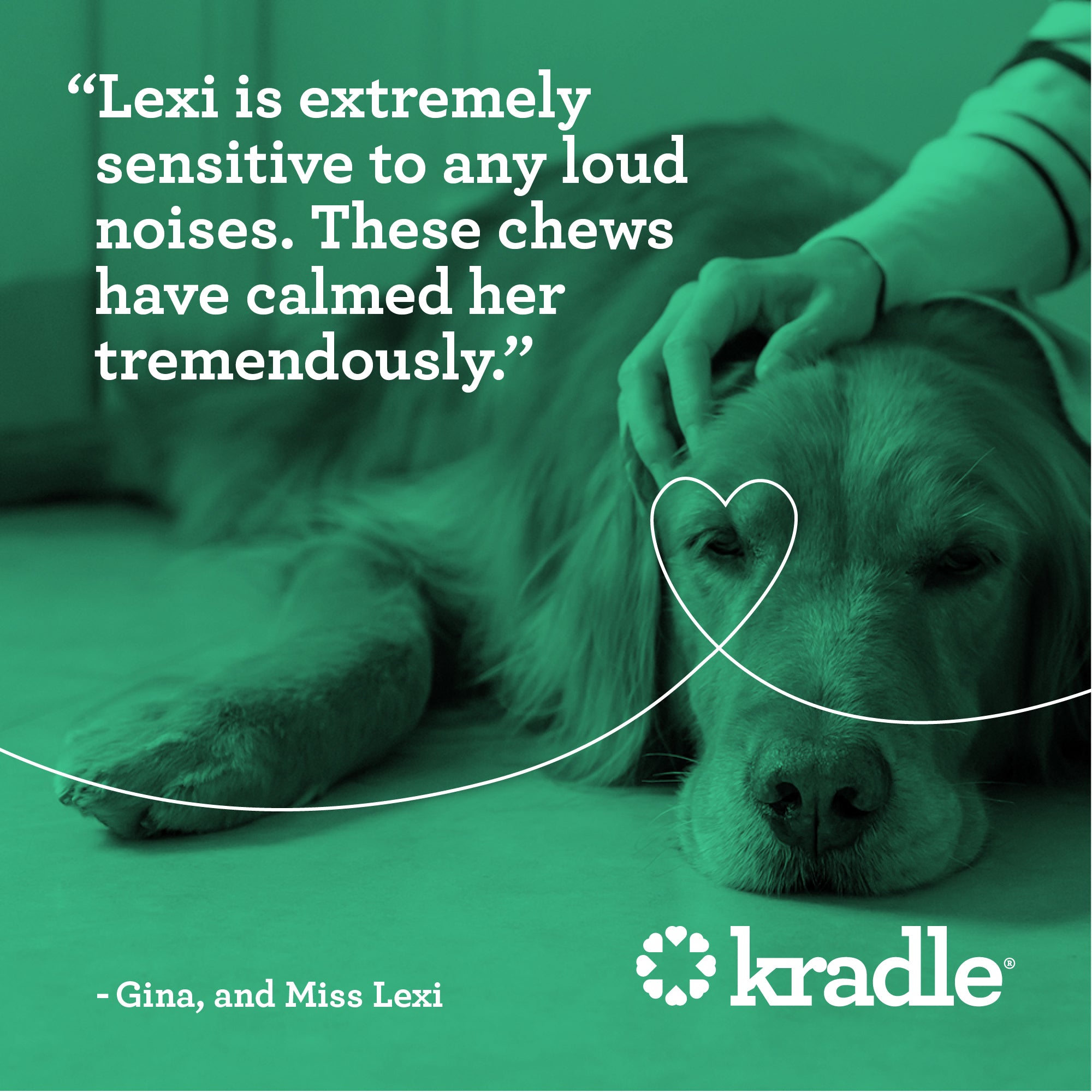 CBD Calming Chews For Dogs