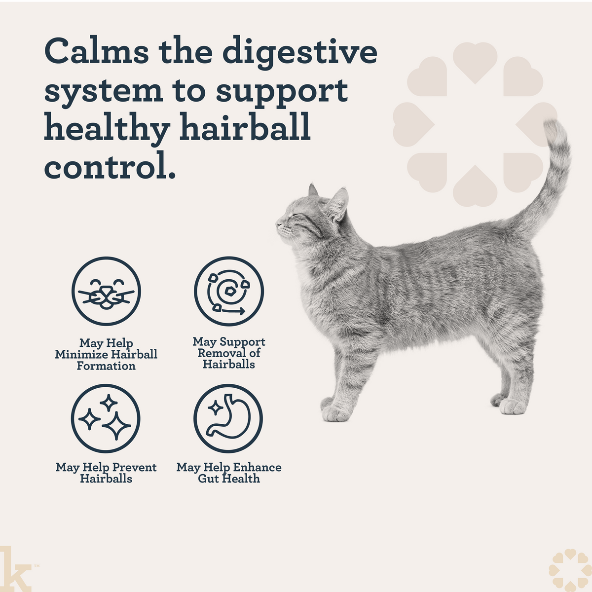 CBD Cat Hairball Wellness Lick
