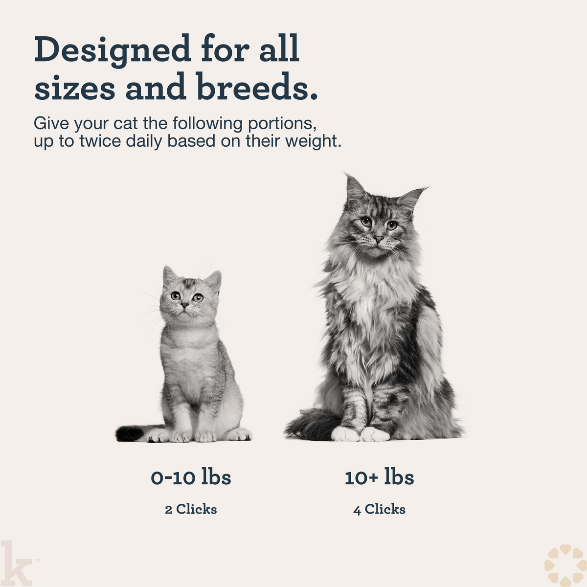 CBD Cat Skin & Allergy Wellness Lick