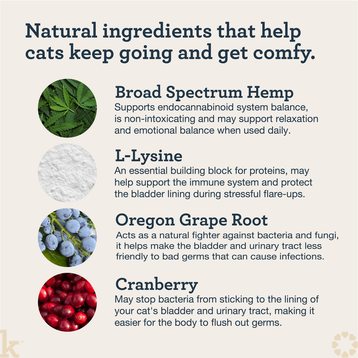CBD Cat Urinary Wellness Lick