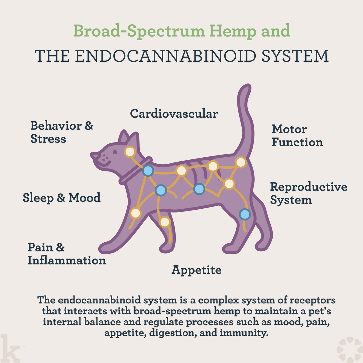 CBD Cat Urinary Wellness Lick