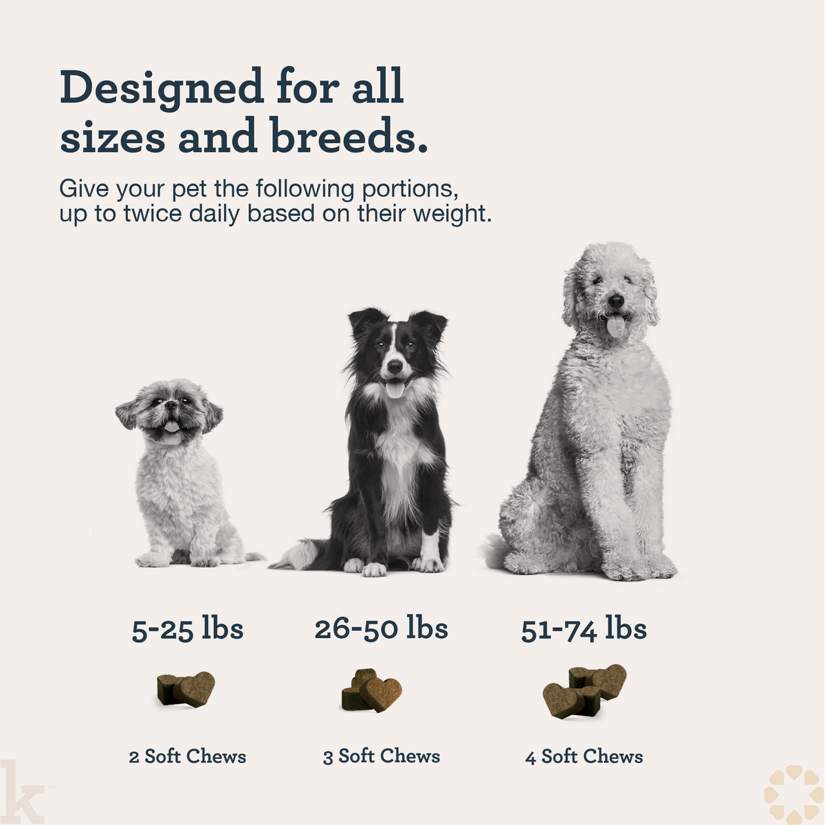 CBD Hip and Joint Chews