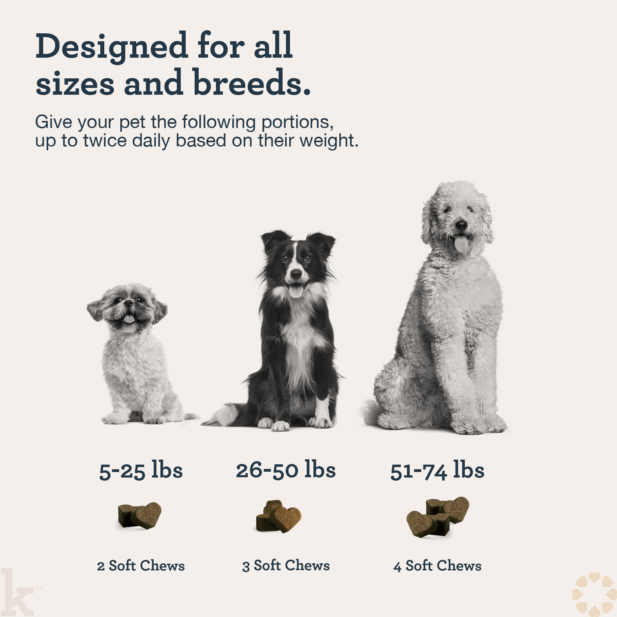 CBD Skin Recovery Chews