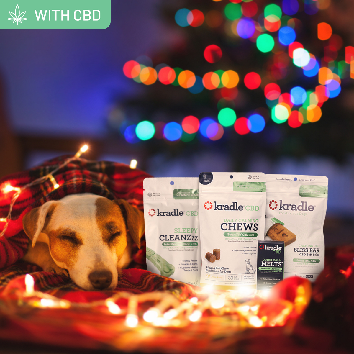 Food supplement for dogs: CBD - Natural Shelter