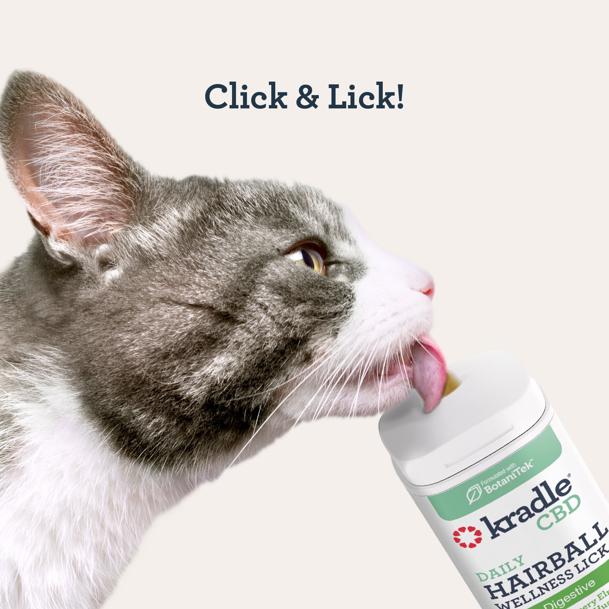 CBD Cat Hairball Wellness Lick