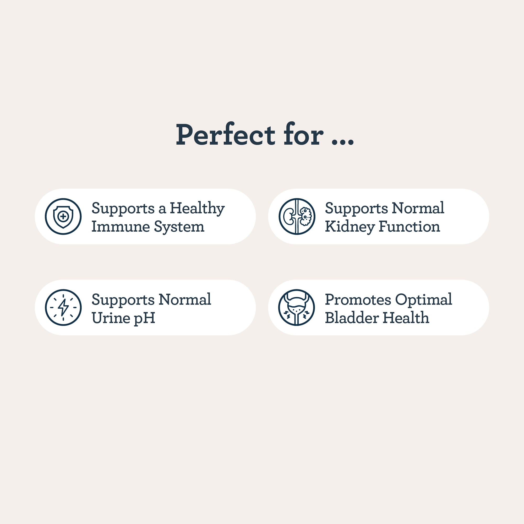 CBD Cat Comfort Bundle